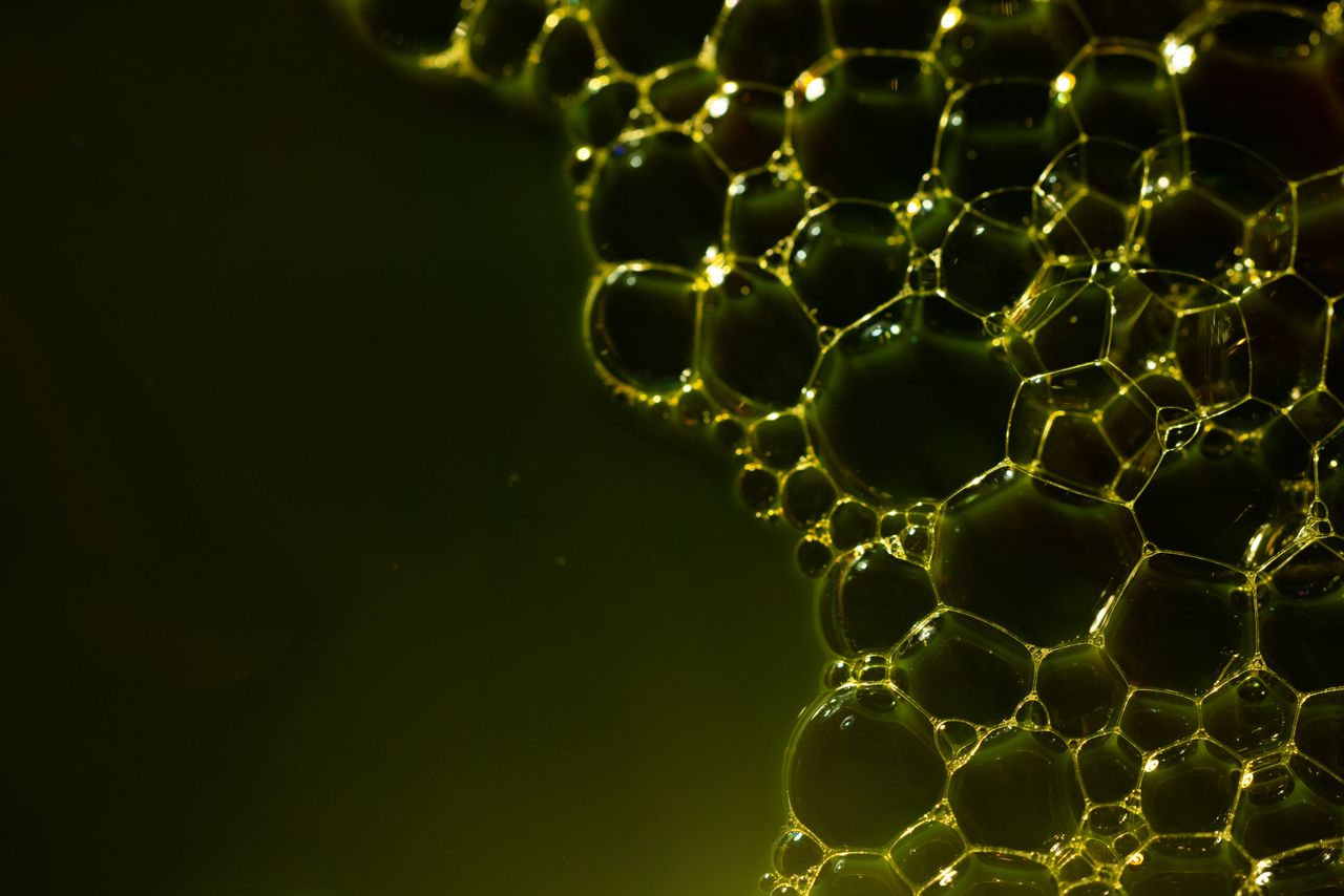 About Close-up of luminescent bubbles on a dark green surface, creating an abstract pattern.