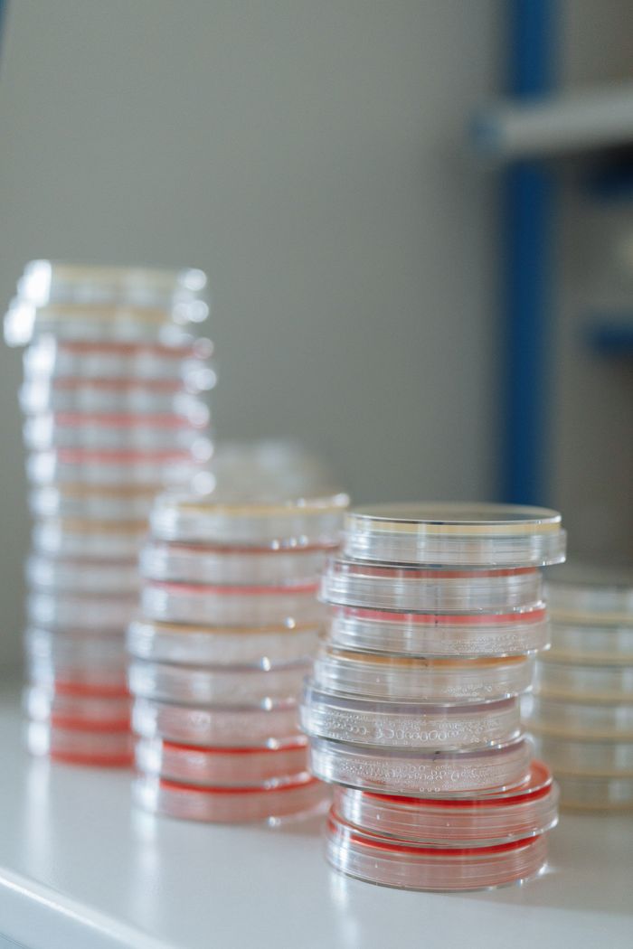The Art of Drawing Readers In: Your attractive post title goes here Stacks of sterile petri dishes on a lab bench, highlighting microbiological research essentials.