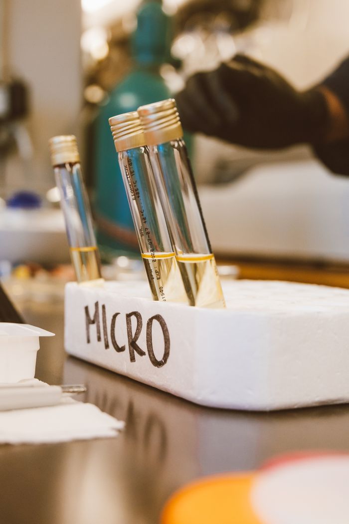 Services Close-up of test tubes in a styrofoam holder labeled 'Micro' in a laboratory setting.